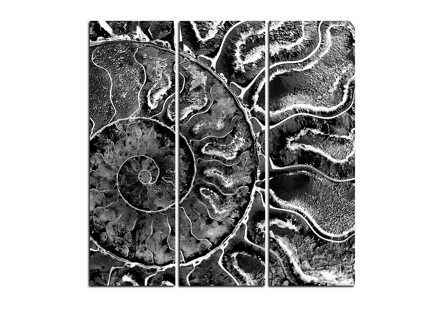 Obraz na plátně - Textura fosílie - čtverec Obraz na plátně - Textura fosílie - čtverec